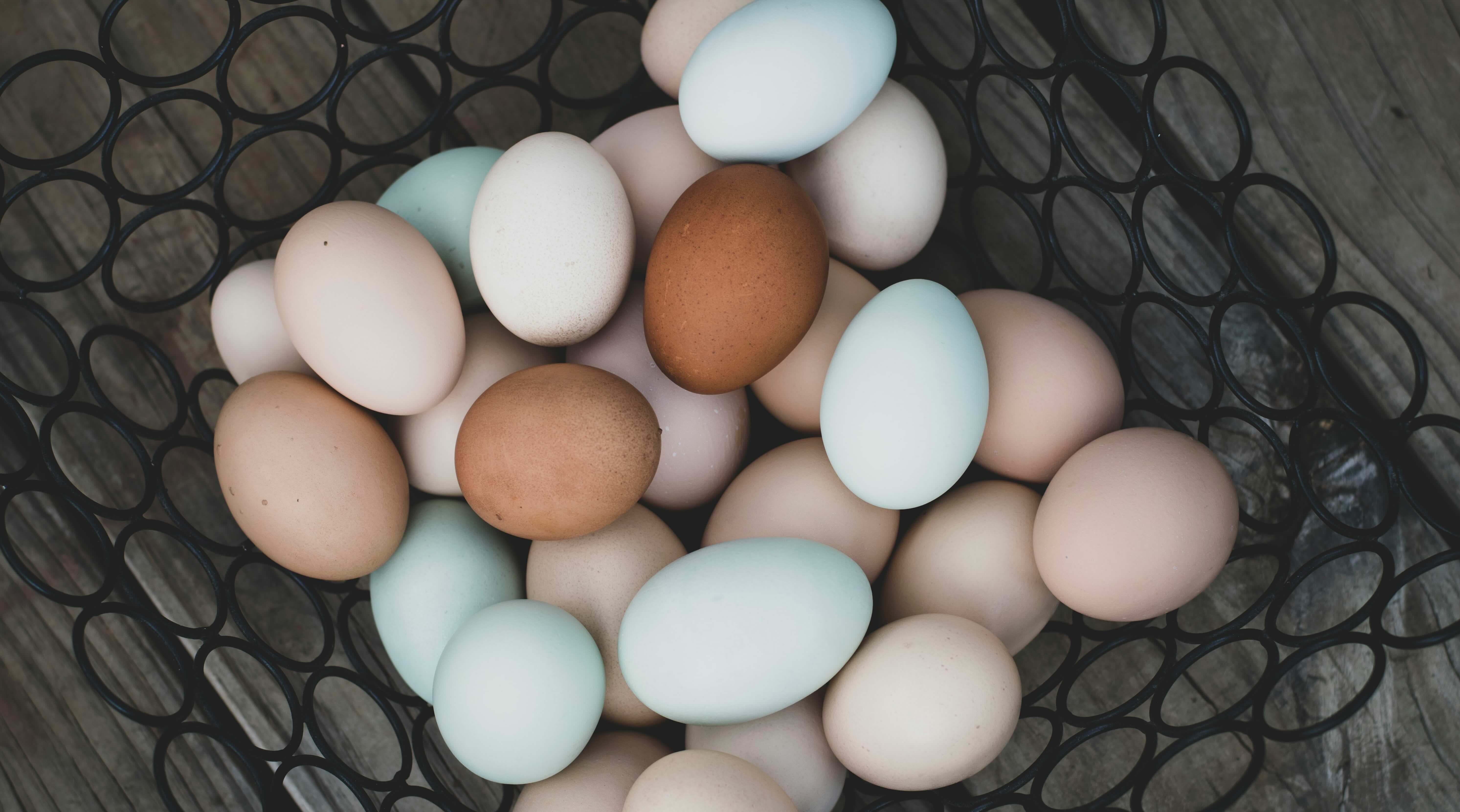 Different eggs in a basket
